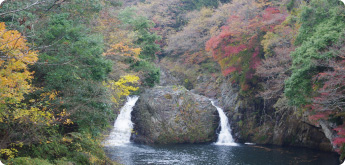 木戸川渓谷